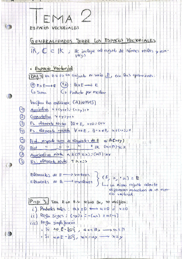 Miniatura del documento Mates-I.TEMA-2-Espacios-vectoriales.pdf