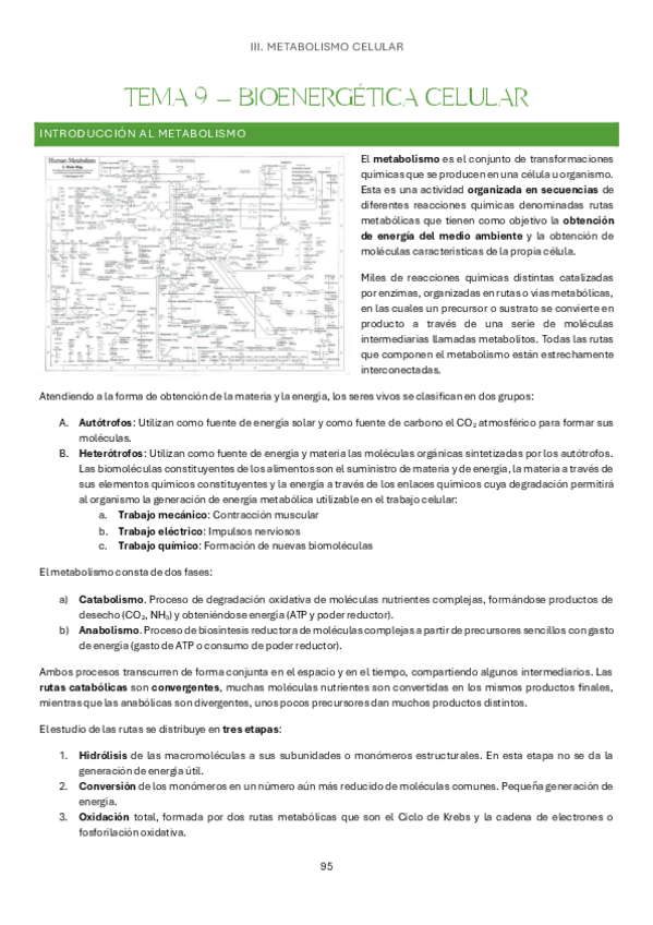 Miniatura del documento Tema-9-Bases-Organicas-e-Inorganicas-de-la-Vida.pdf