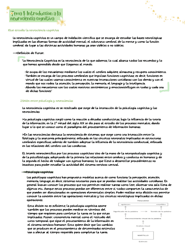 Miniatura del documento Neuro-cognitiva-T1-2.pdf