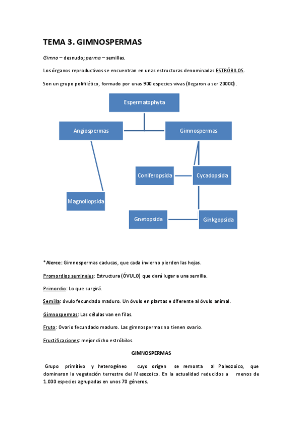 Miniatura del documento TEMA 3.pdf