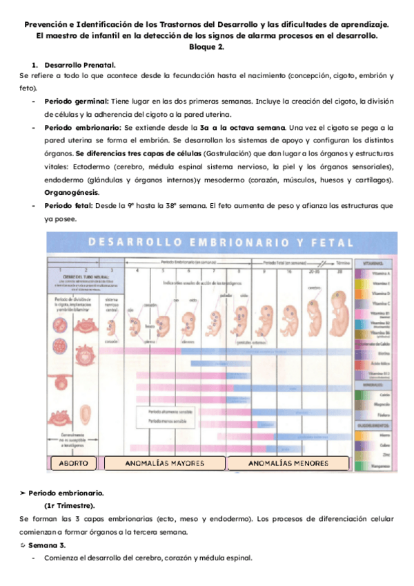 Miniatura del documento Bloque-2.-El-maestro-de-infantil-en-la-deteccion-de-los-signos-de-alarma-procesos-en-el-desarrollo..pdf