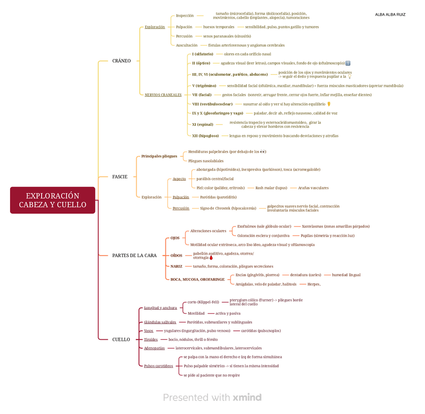 Miniatura del documento ESQUEMA-EXPLORACION-CABEZA-Y-CUELLO.pdf