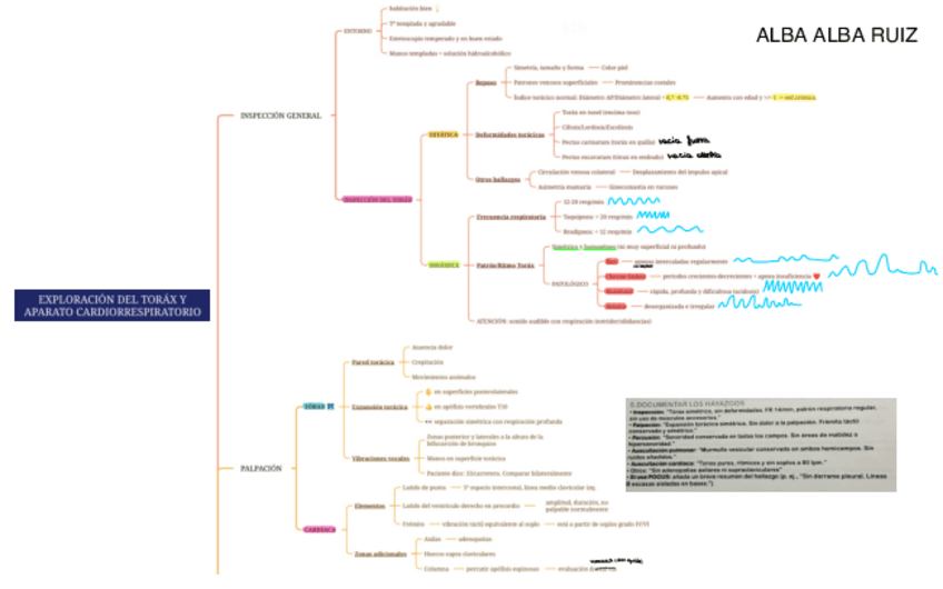 Miniatura del documento ESQUEMA-EXPLORACION-TORAX-Y-AP.-CARDIORRESPIRATORIO.pdf