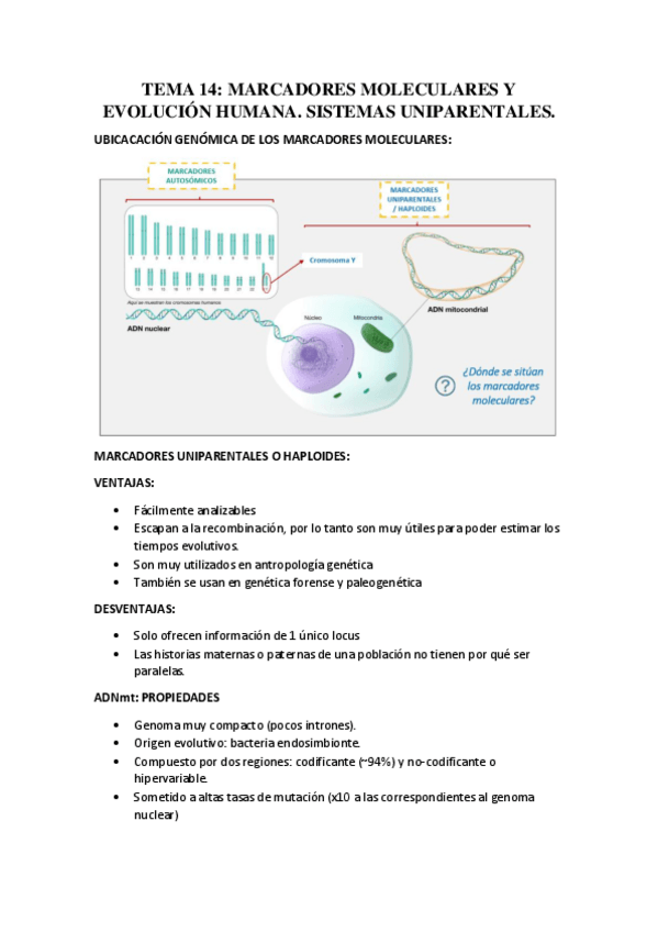 Miniatura del documento TEMA-14.pdf
