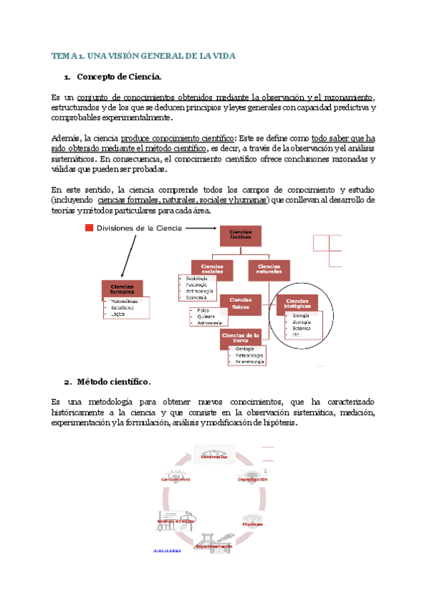 Miniatura del documento TEMA-1.-UNA-VISION-GENERAL-DE-LA-VIDA.pdf