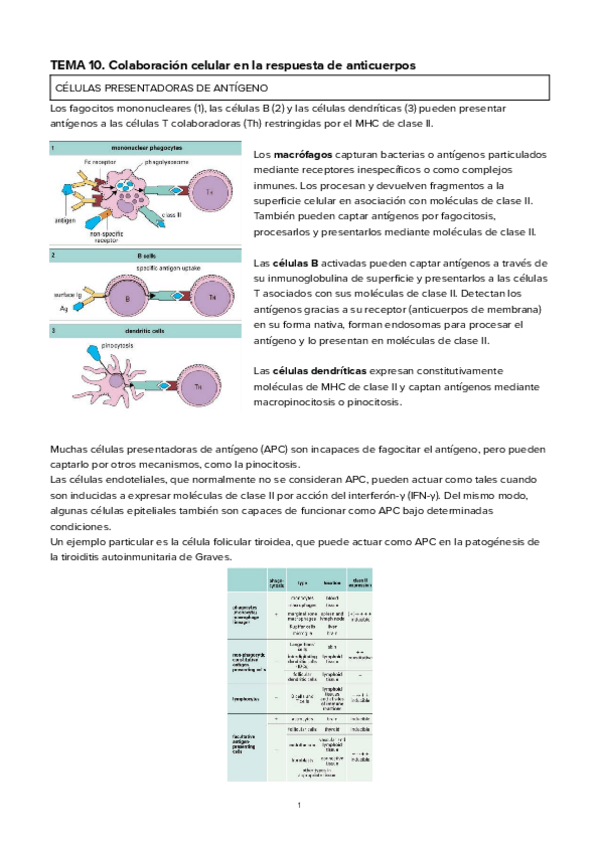 Miniatura del documento TEMA-10Colaboracion-celular-en-la-respuesta-de-anticuerpos.pdf