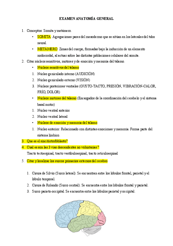 Miniatura del documento Examen-final-Anatomia-General-2.pdf