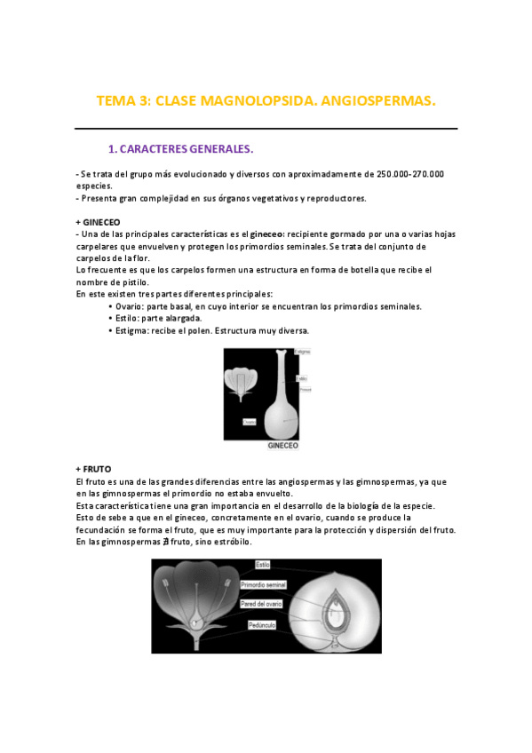 Miniatura del documento Tema 3_MAGNOLIOPSIDA. CARACTERES GENERALES..pdf