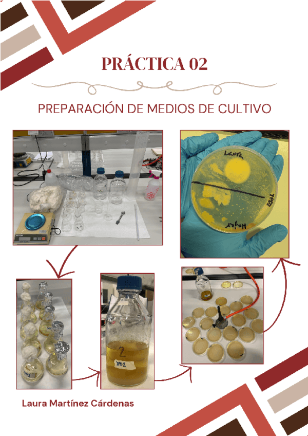 Miniatura del documento P2-Laura-Martinez-parte-1.pdf