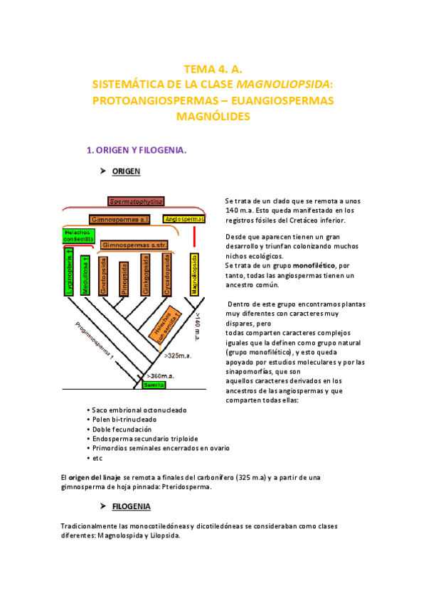 Miniatura del documento Tema 4_MAGNOLIOPSIDA.SISTEMÁTICA.pdf