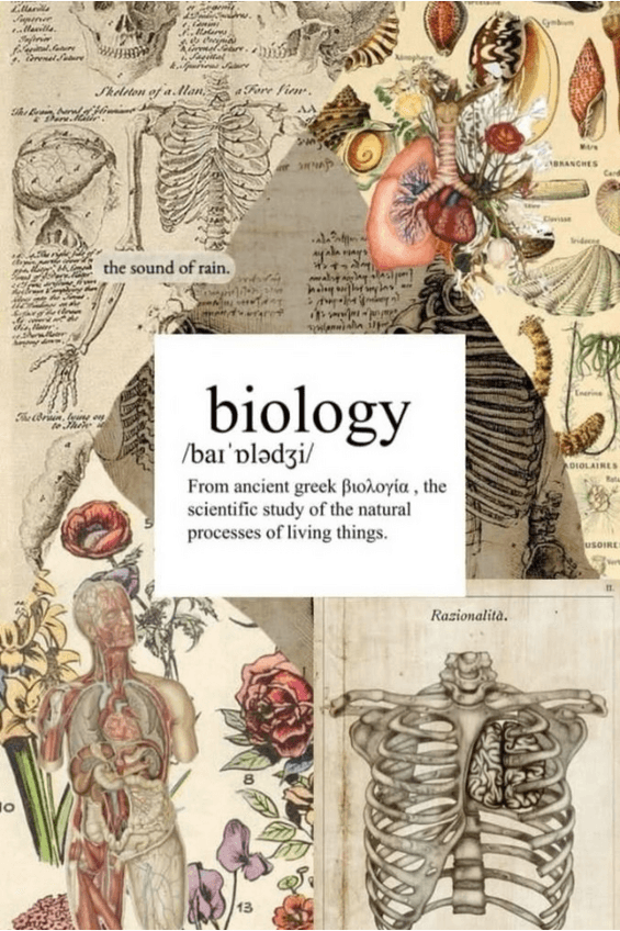 Miniatura del documento musculo-y-motilidad.pdf