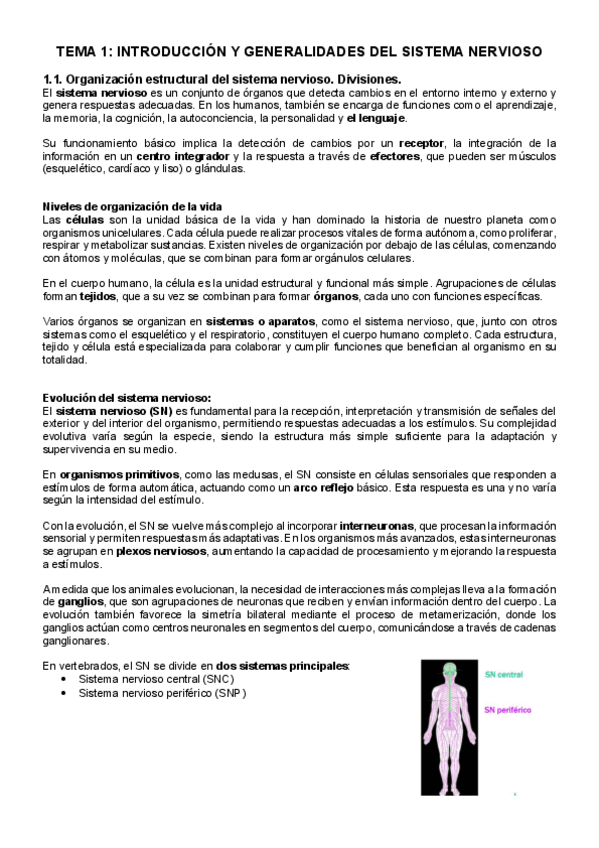 Miniatura del documento TEMA-1.pdf
