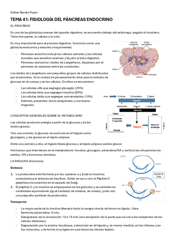 Miniatura del documento fisiologia-del-pancreas.pdf