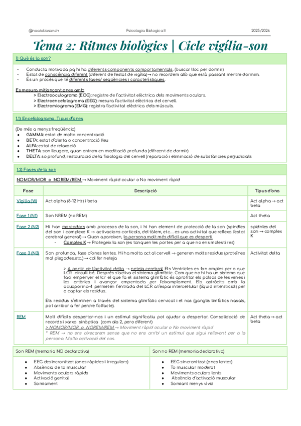Miniatura del documento Tema-2-Ritmes-biologics-or-Cicle-vigilia-son.pdf