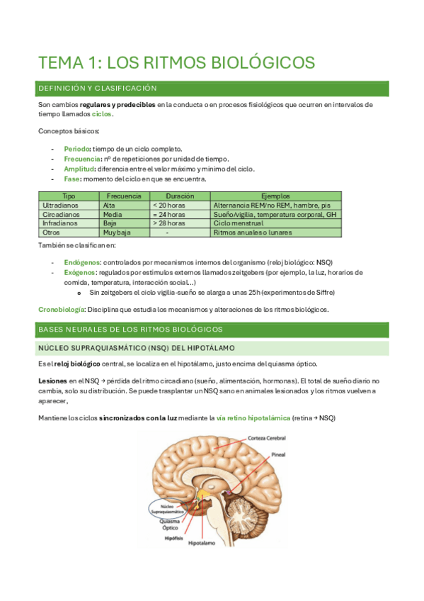 Miniatura del documento fisio-1.pdf