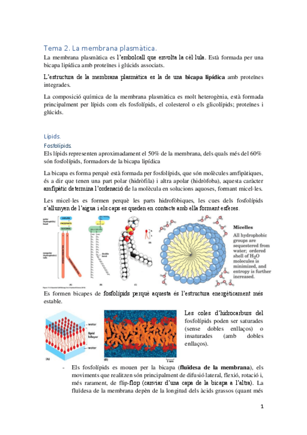 Miniatura del documento Tema 2.pdf