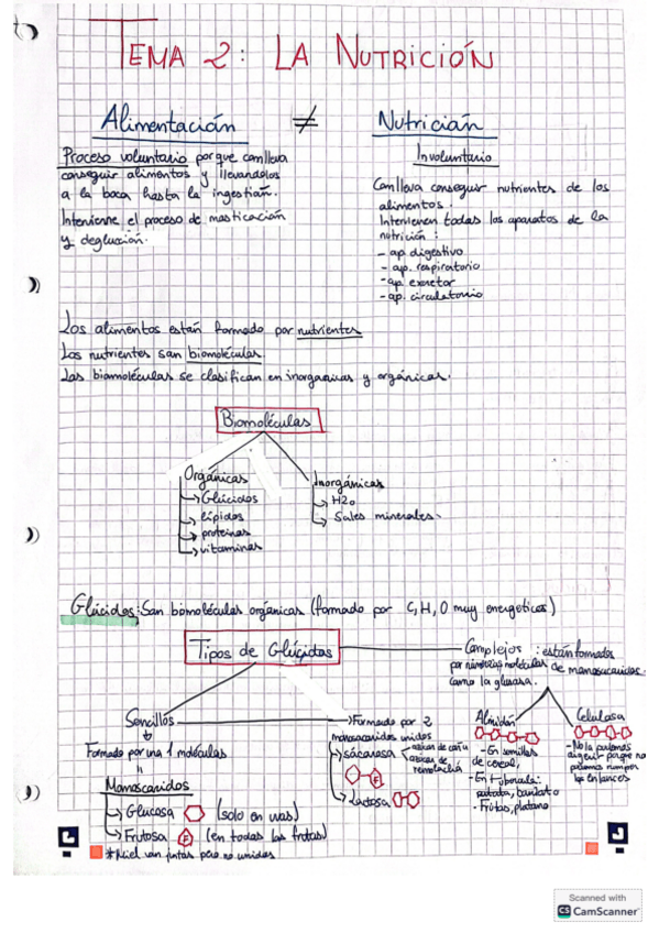 Miniatura del documento nutricion.pdf