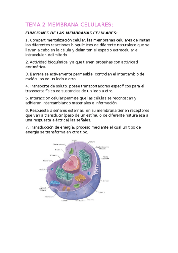 Miniatura del documento TEMA-2-MEMBRANA-CELULARES-resumen.docx