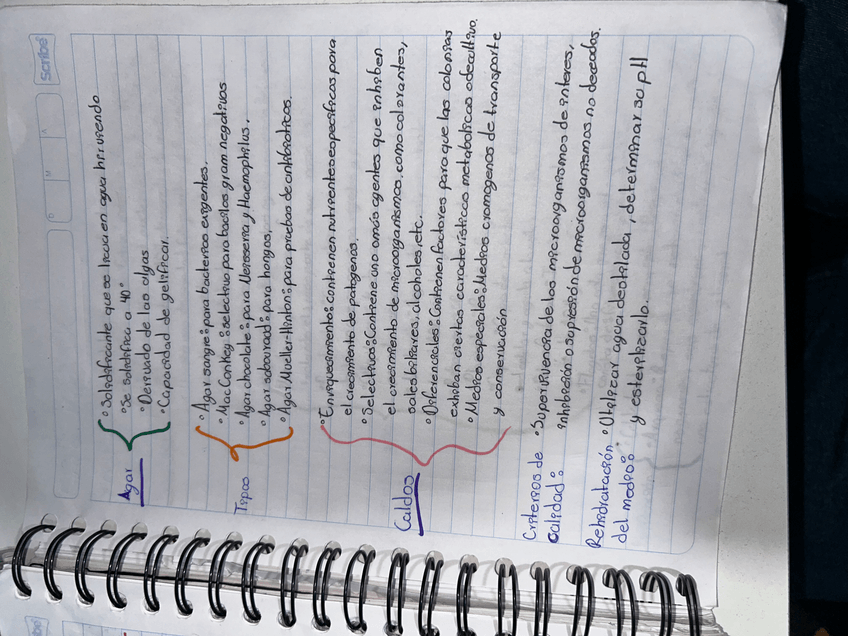 Miniatura del documento IMG7311.jpeg