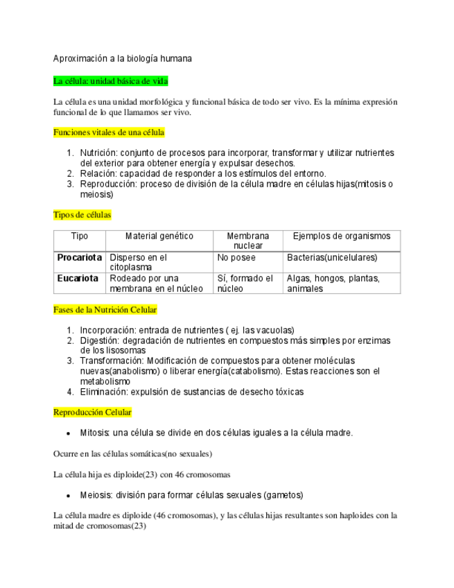 Miniatura del documento apuntes-unidad-1.pdf