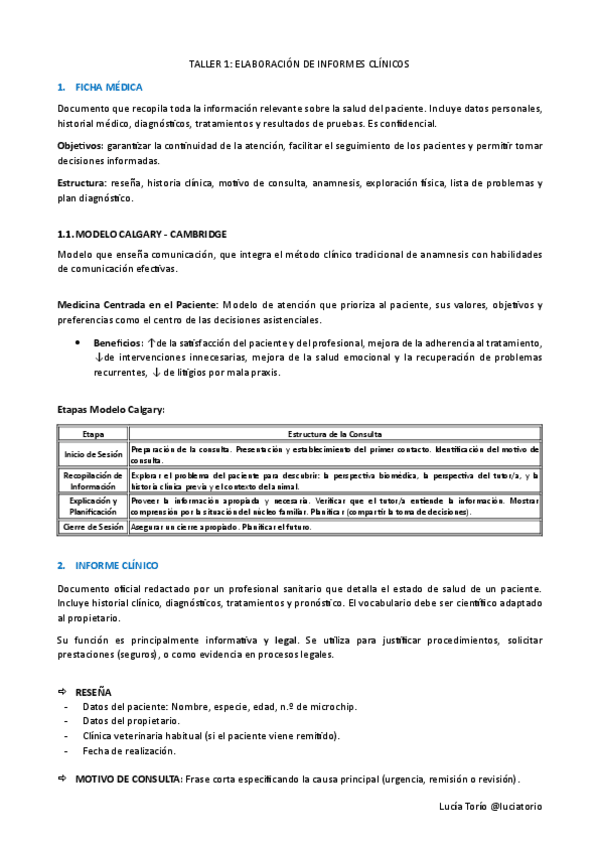 Miniatura del documento IECPA-Taller-Informe-clinico.pdf