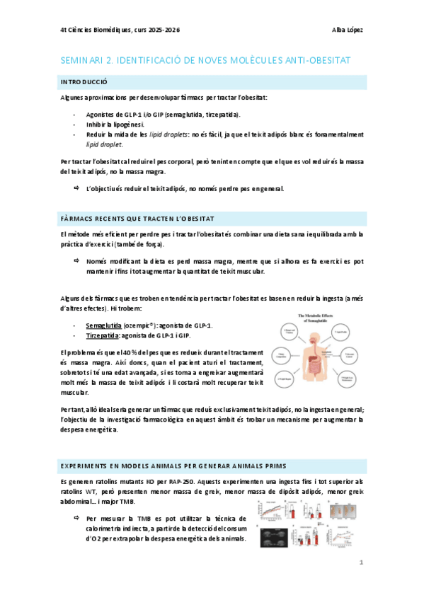Miniatura del documento Seminari-2.-Identificacio-de-noves-molecules-anti-obesitat.pdf
