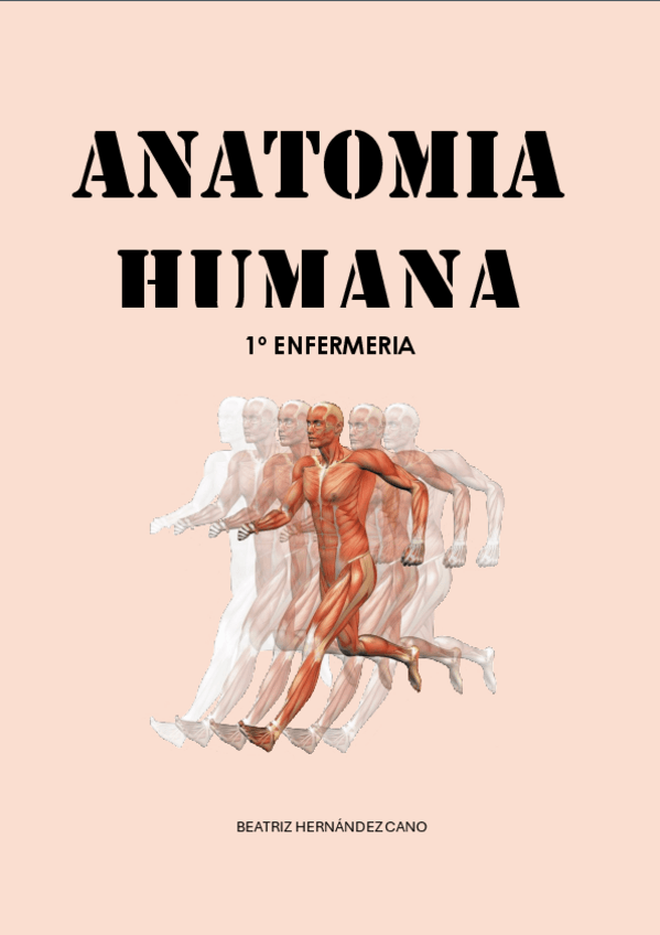 Miniatura del documento TEMA-4-ANATOMIA-ENFERMERIA-LCU.pdf
