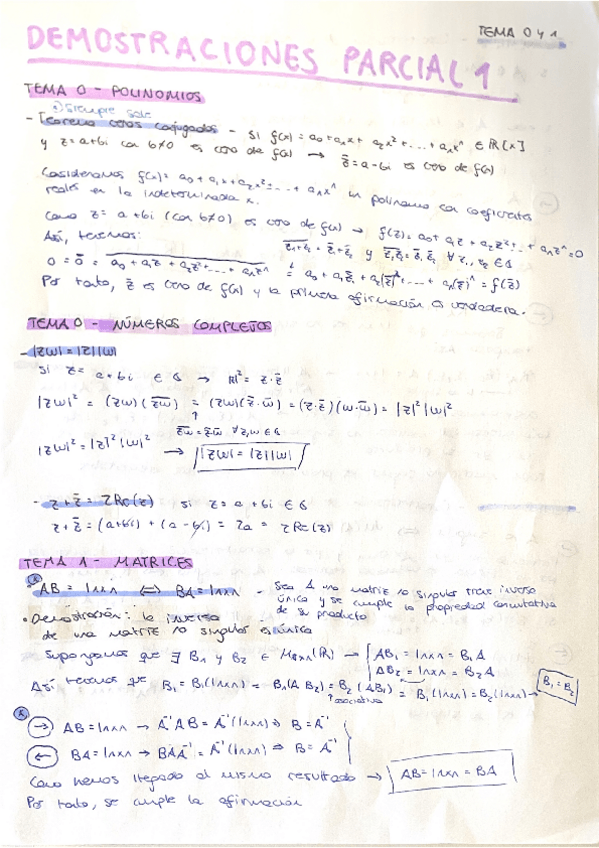 Miniatura del documento Demostraciones-Parcial-1-2025.pdf