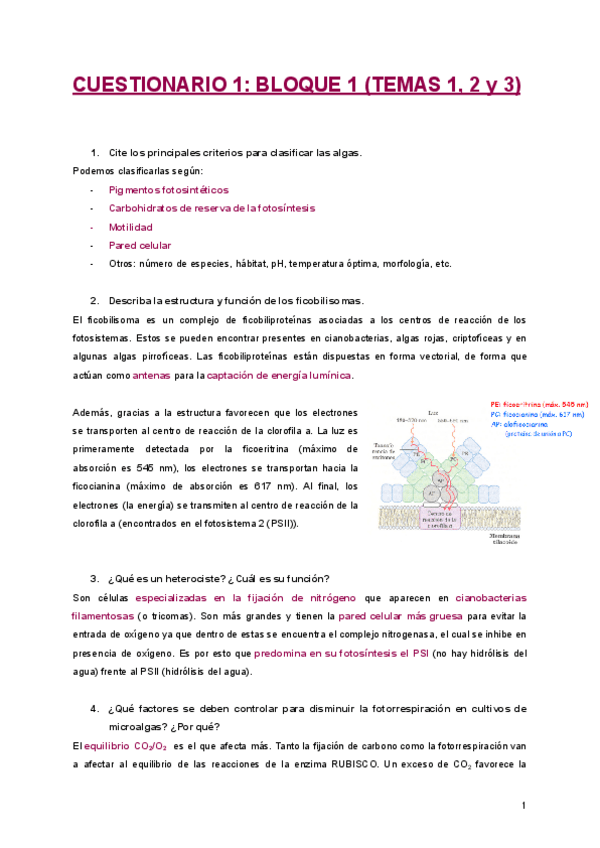 Miniatura del documento Preguntas-de-Cuestionarios.pdf