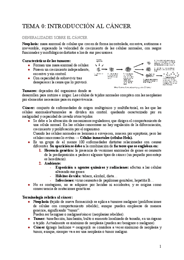 Miniatura del documento BRQ-tema-0.pdf