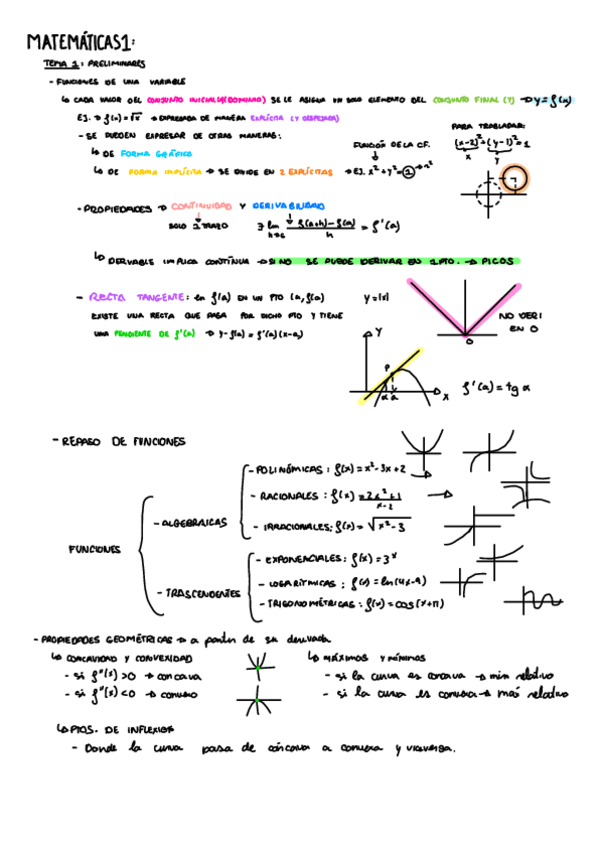 Miniatura del documento APUNTES-TEMA1.pdf