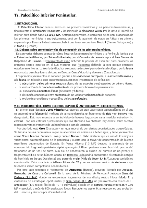 Miniatura del documento T1.-PALEOLITICO-INFERIOR..pdf
