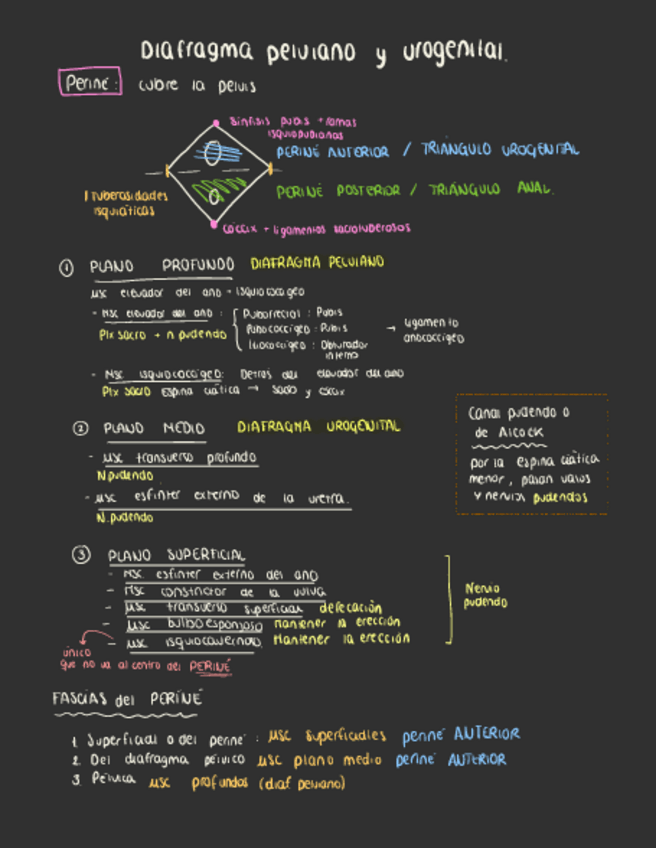 Miniatura del documento 54.-Perine.pdf