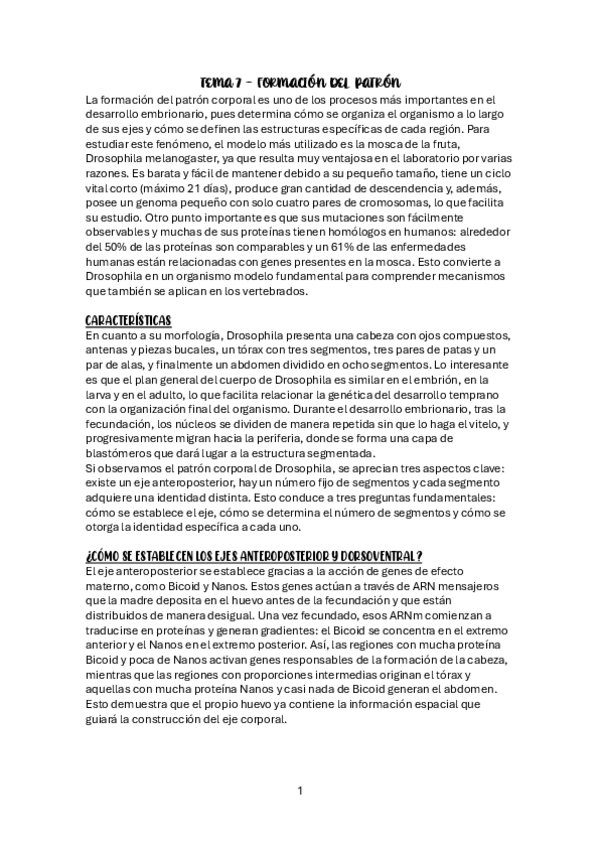 Miniatura del documento TEMA-7-FORMACION-DEL-PATRON.pdf