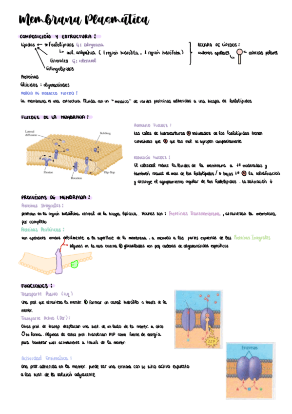 Miniatura del documento BIOLOGIA-1-parcial.pdf