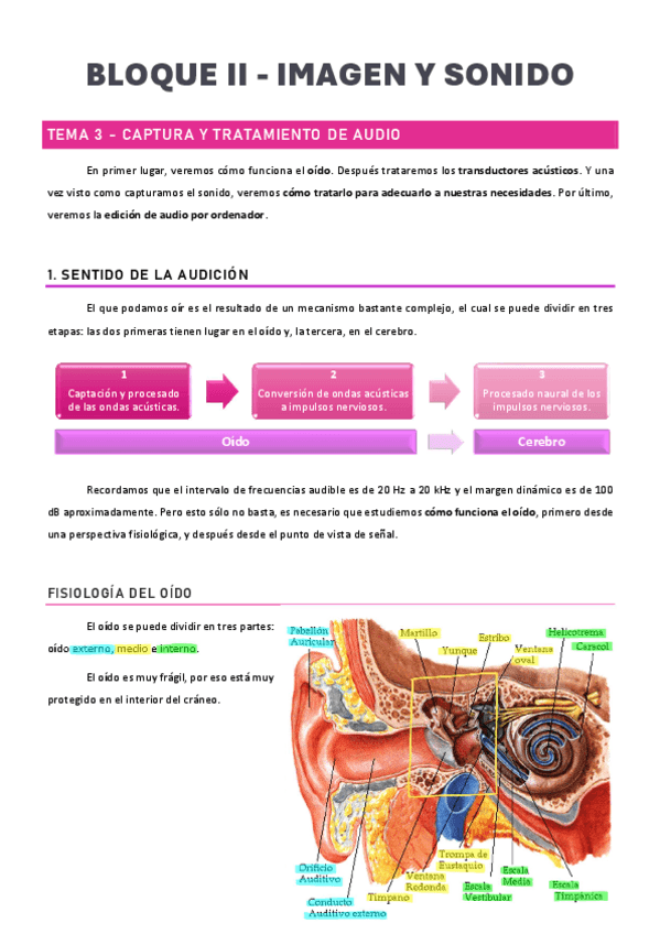 Miniatura del documento Tema 3 - Captura y Tratamiento de Audio.pdf
