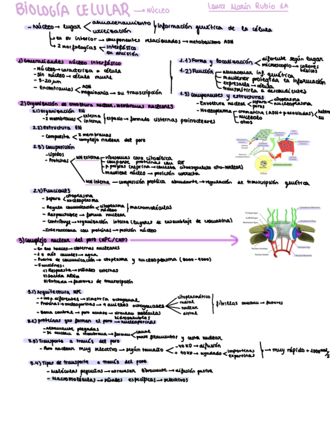 Miniatura del documento Nota-25-oct-2025-2.pdf