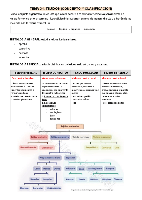 Miniatura del documento bloque-histologia-general.pdf