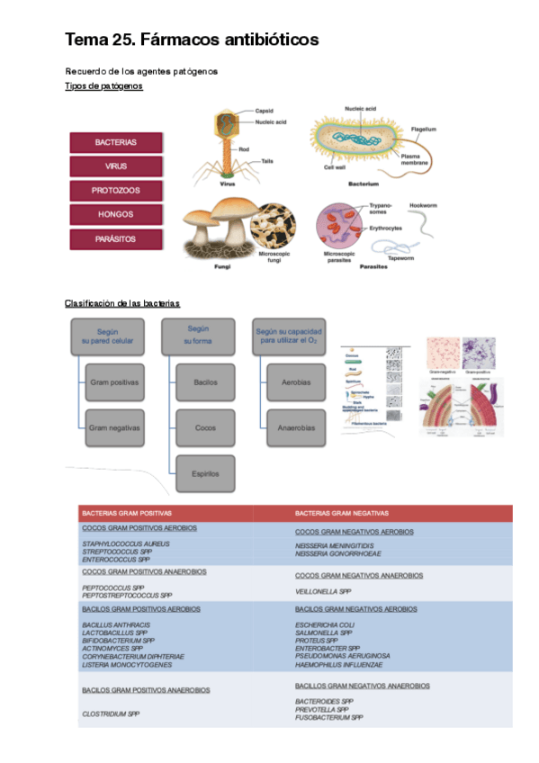 Miniatura del documento Tema-25.pdf