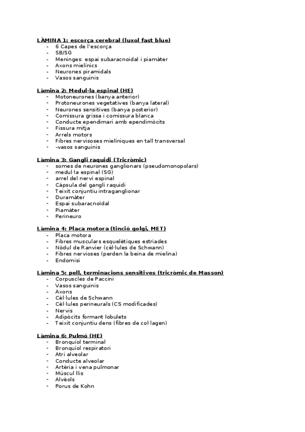 Miniatura del documento LÀMINES DIAGNÒSTIQUES 2017 solucions.docx