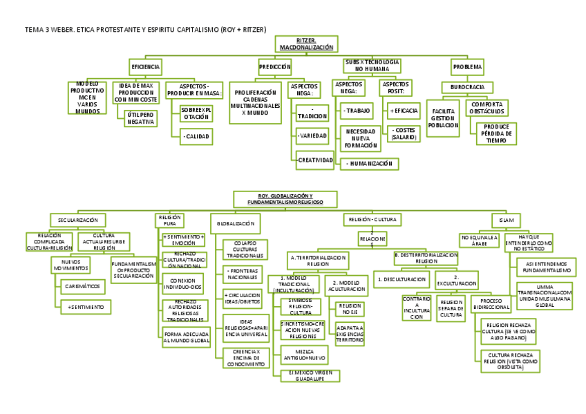 Miniatura del documento RESUMEN TEMA 3.pdf