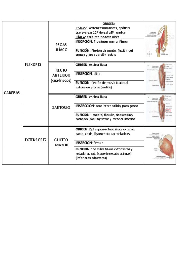 Miniatura del documento tablas musculos examen .pdf