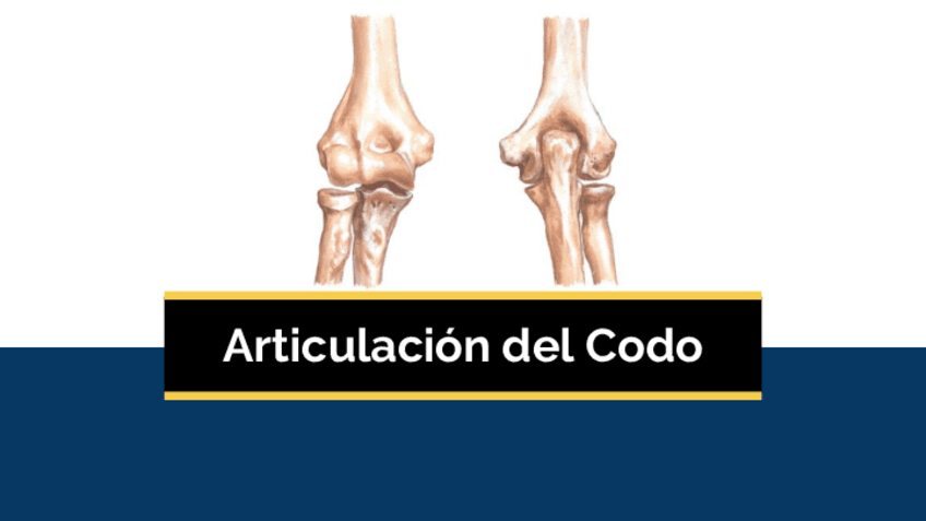 Miniatura del documento Articulación del Codo.pdf