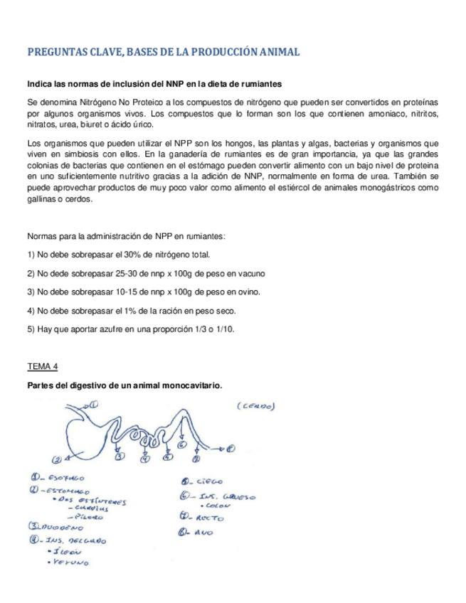 Miniatura del documento PREGUNTAS CLAVE BASES- PKDOORR.pdf