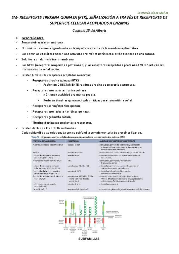 Miniatura del documento SM- RECEPTORES TIROSINA QUINASA subir.pdf