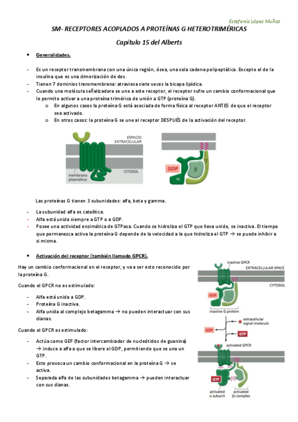 Miniatura del documento SM - RECEPTORES ACOPLADOS A PROTEINAS G HETEROTRIMERICAS subir.pdf