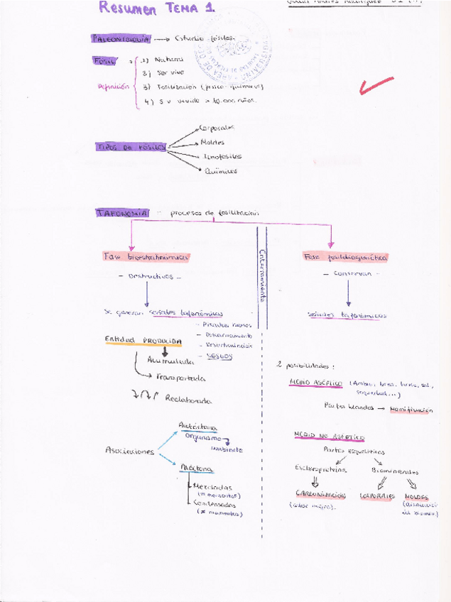 Miniatura del documento R.F. (1- 2, 3, 4).pdf