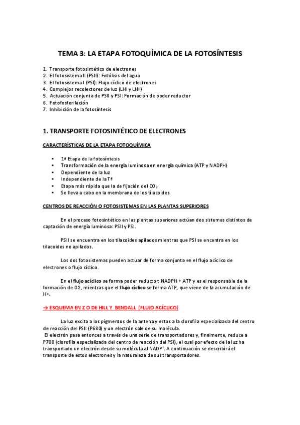 Miniatura del documento TEMA 3_Etapa fotoquímica de la fotosíntesis.pdf