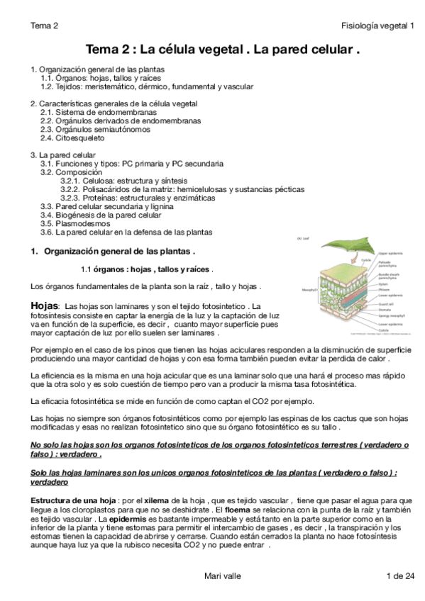 Miniatura del documento Tema 2 F. Vegetal 1.pdf