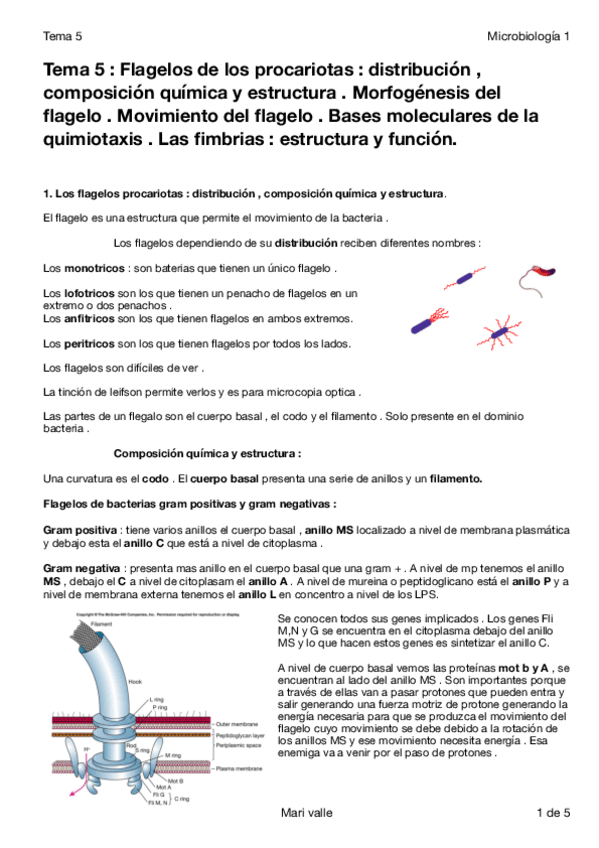 Miniatura del documento Tema 5 micro 1.pdf